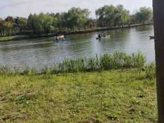 -合肥滨湖国家森林公园