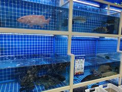 -牛天下·牛肉·海鲜·打边炉·融合菜