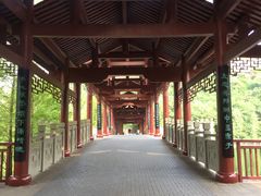 景点-重庆彩云湖湿地公园