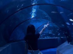 -太平洋海底世界