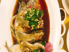 -泰丰楼(前门西大街店)