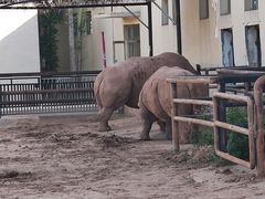 -鄂尔多斯野生动物园