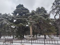 -北陵公园