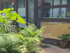 -先机泉水鸡汤(南山老君洞店)