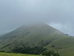-大姆山草场