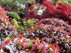 iphone_upload_pic-瞰胜楼