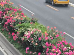 -湘西乌龙山铁板烧(双桥店)