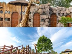 -济南野生动物世界