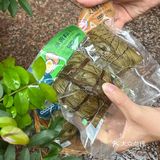 本地哥哥说：端午吃粽，肯定是道滘粽子