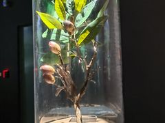 -中国湿地博物馆