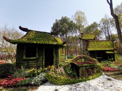 -东平国家森林公园