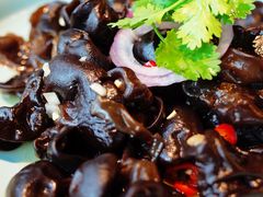 开胃秋木耳-羲和雅苑•北京烤鸭(平安国际金融中心店)