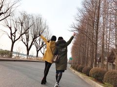 -太阳岛度假酒店