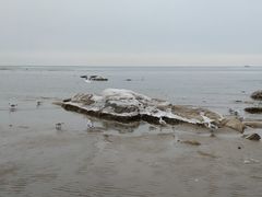 -老虎石海上公园