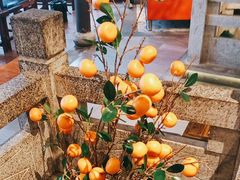 -鹅村长(世纪花园店)