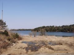-黄陂区野村谷景区