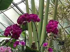 -华南国家植物园-售票处