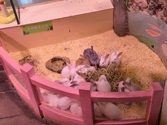-正佳雨林生态植物园