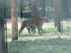-秦皇岛野生动物园