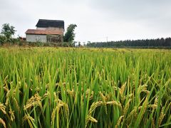 -嘉北郊野公园