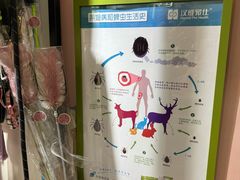 -车接车送·寄养洗护·德文猫舍(大宁店)