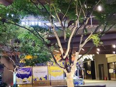 -Dough&Joe团憩(瑞虹天地月亮湾店)