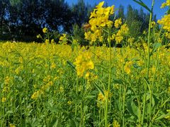 -长春公园(普阳街道)