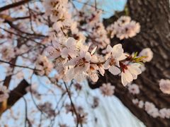 -颐和园