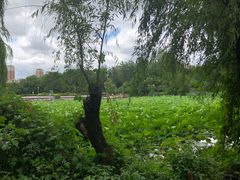 -三圣花乡旅游区