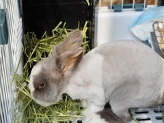 -小意思咖啡店(草桥店)