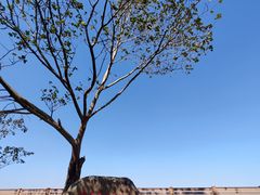 -同里国家湿地公园