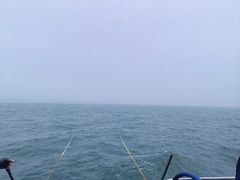 -日照世帆赛基地