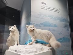 -武汉园博园(武汉自然博物馆)