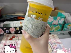 -雾与山茶(大禹城店)