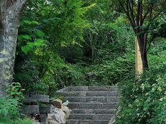 -戏马台景区