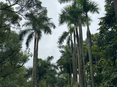-中国科学院华南植物园