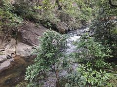 -广州市石门国家森林公园
