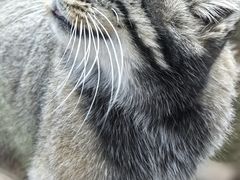 -青藏高原野生动物园