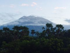 iphone_upload_pic-飞鱼&摩娜潜水度假村