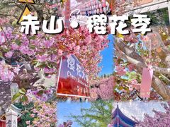 -石岛赤山风景区