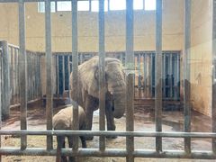 -石家庄市动物园