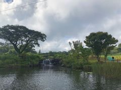-济州森林小火车生态公园