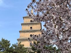 -大慈恩寺(大雁塔)