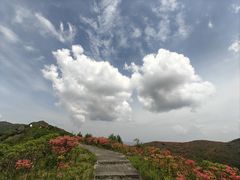 -大围山国家森林公园