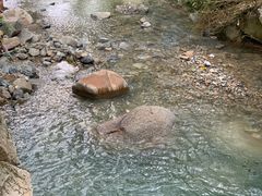 -白水冲瀑布
