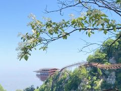 -少华山国家森林公园