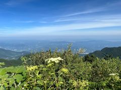 -武陵山森林公园