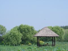 -西青郊野公园