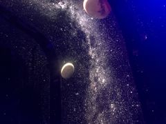 -SPACE(欢乐颂购物中心店)