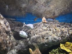 -福州罗源湾海洋世界旅游区